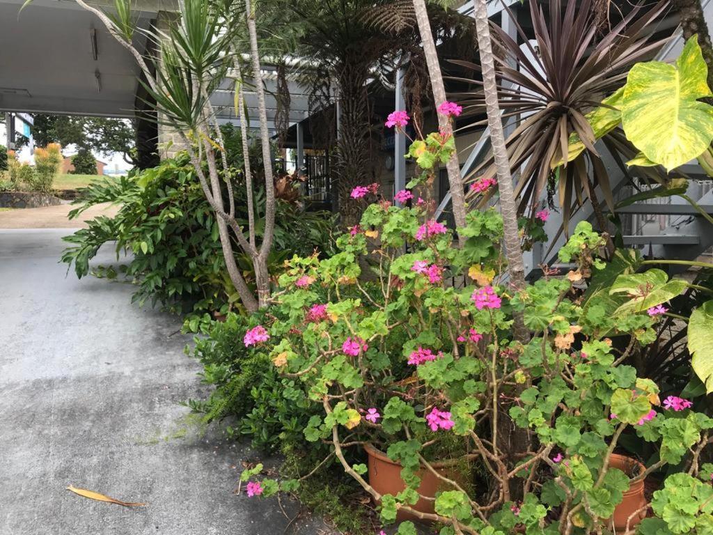 Coffs Shearwater Motel Coffs Harbour Luaran gambar
